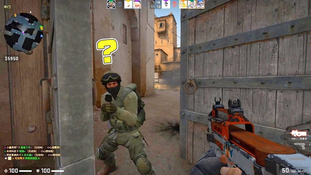 野生动物制 野生动物制